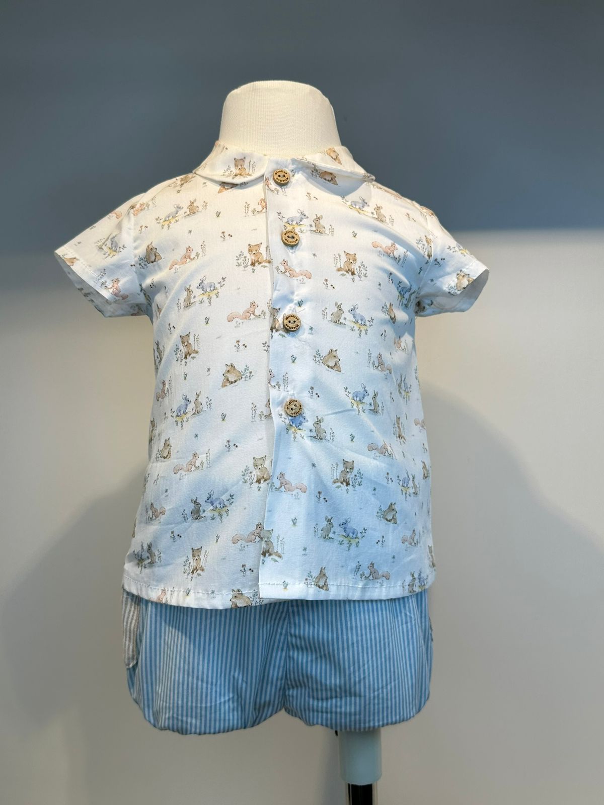 Conjunto animalitos y rayas